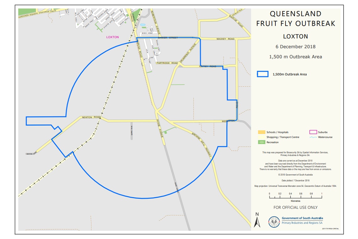 Fruit fly outbreak declared in the Riverland The Shout